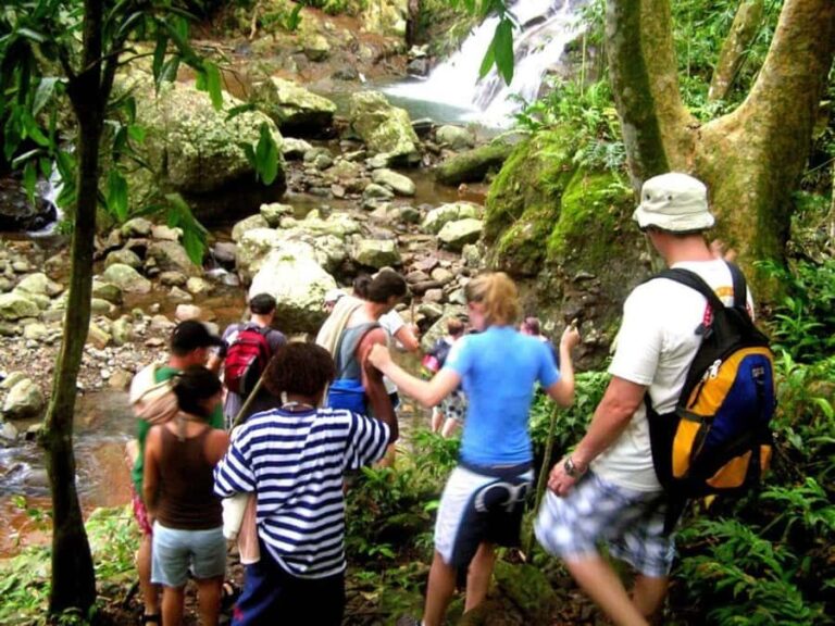 NADI: Nalesutale Village Half Day Tour - An In-Depth Look at the Nalesutale Village Experience