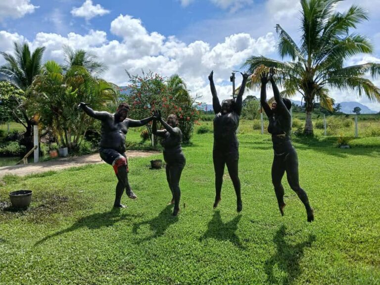NADI: Sabeto Tifajek Mudpool & Hot Spring Tours & Tickets - Who Will Love This Tour?
