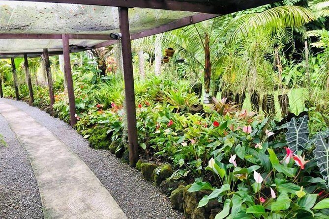Nadi Sightseeing & Mud Pool Tour - Ex Fiji Marriott, Momi Bay - Why This Tour Offers Good Value