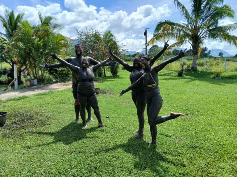 NADI: Tifajek Mud Pool and Hot Spring Natural Spa Tour - Authentic Experiences and Visitor Perspectives
