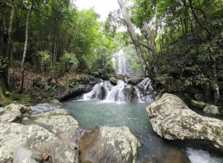 Nadi: Waterfall Tour Adventure with Refreshments and Lunch - The Value for Your Money