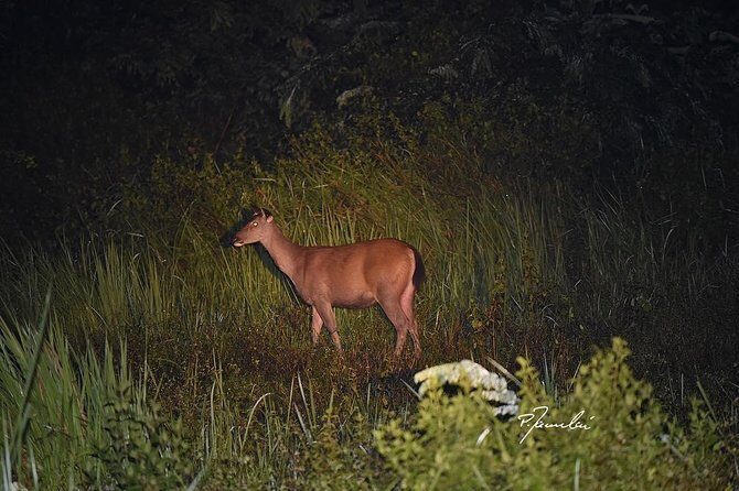 Nam Cat Tien National Park 2 Days 1 Night Tour - The Sum Up: Is This Tour Worth It?