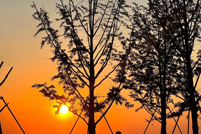 Nanjing Professional and Private English Tour Guide Service - What Travelers Say
