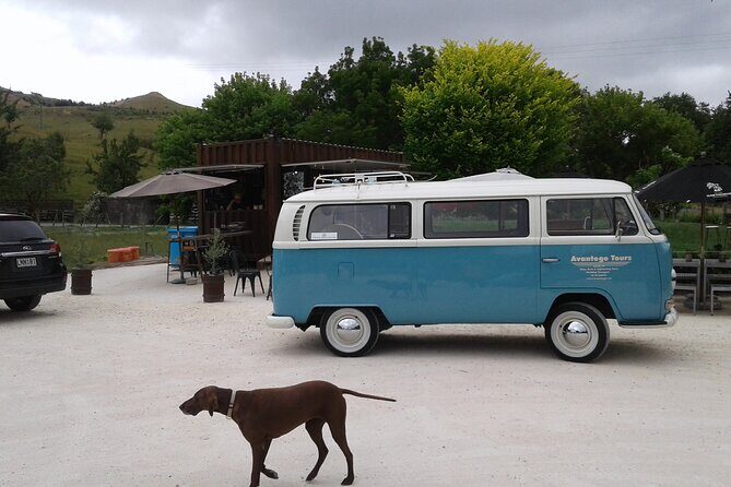 Napier and Hawkes Bay Scenic and Art Deco Tour by VW Kombi - The Sum Up: Who Will Love This Tour?