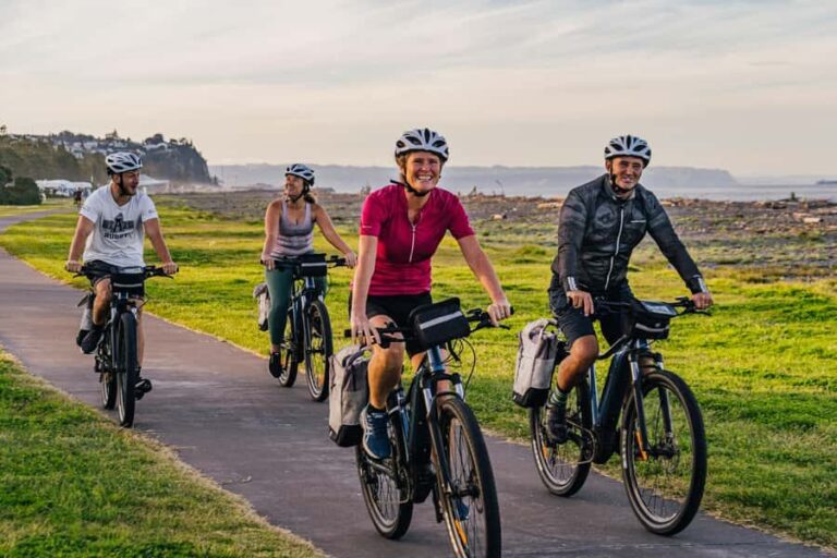 Napier: Cruise Self-Guided Cycle Ride to Winery - Half Day - Cycling Experience: What You Need to Know