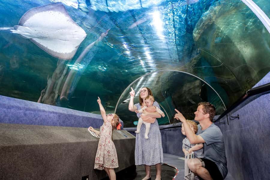Napier: National Aquarium of New Zealand General Admission - Who Will Love This Experience?