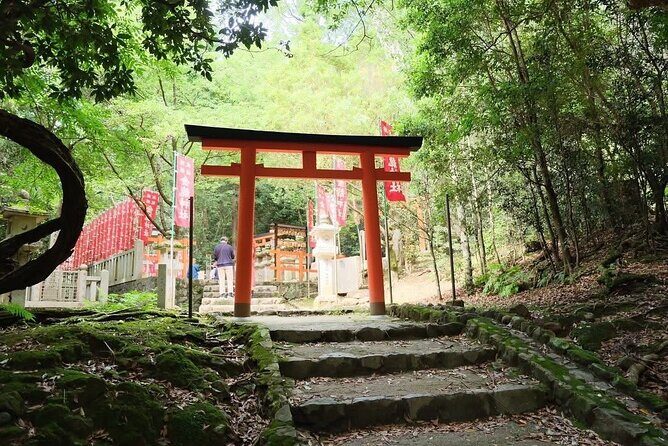 Nara and kyoto adventures private vehicle tour - Practical Details and Tips