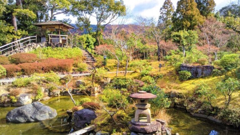 Nara: City Highlights Shared Group or Private Bike Tour - Why the Tour is a Great Value