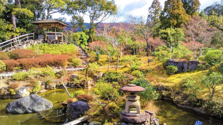 Nara: City Highlights Shared Group or Private Bike Tour - Why the Tour is a Great Value