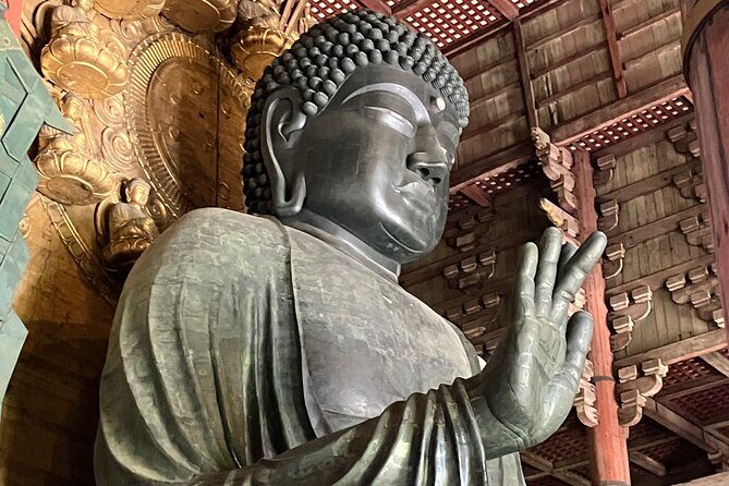 Nara: Essential Private Tour with Deer Park and Temples - Who Will Love This Tour?