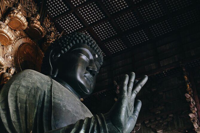 Nara Heritage Walkabout from Nara Park to Todaji Temple - What You’ll Love About This Tour