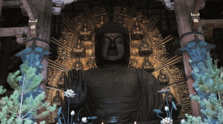 Nara Private Custom Tour with Local Guide - What the Reviews Say
