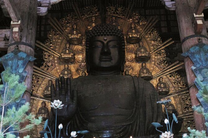 Nara Private Custom Tour with Local Guide - What’s Included and What’s Not
