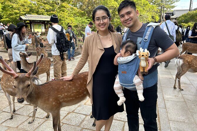 Nara Tour by Car from Kyoto Osaka Kobe - Who Will Benefit Most from This Tour?