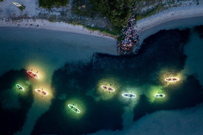 Naru Beach Night Kayak Tour - Why This Tour Is Worth It