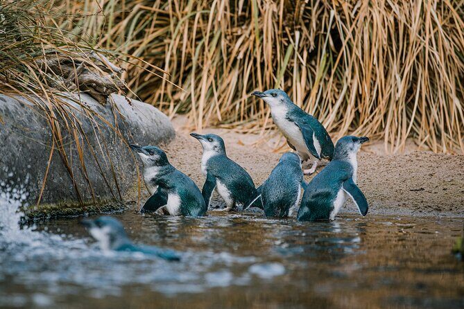 National Aquarium of New Zealand in Napier General Admission - Why It Works for Different Travelers