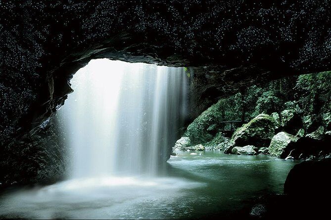 Natural Bridge Glow Worm Night Tour from Gold Coast - Final Thoughts