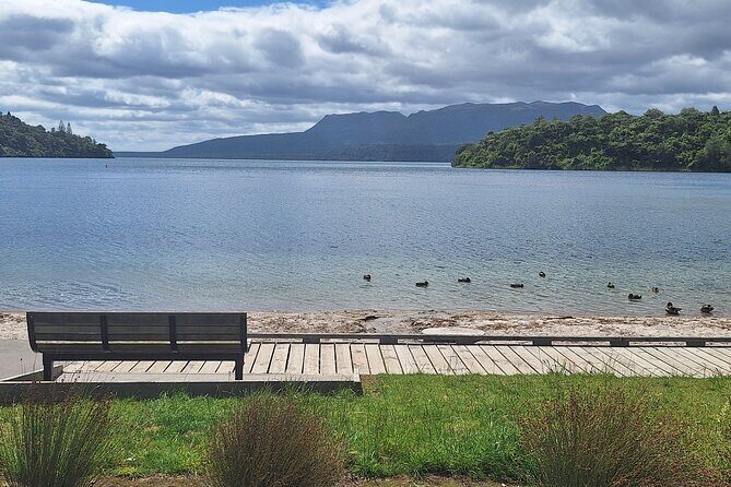 Nature at its best Lake Tarawera Treetop Walk and Forest Spas - The Value of This Tour
