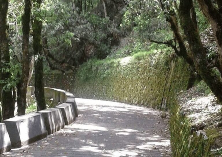 Nature Walk of Mussoorie (2 Hours Guided Walking Tour) - What Makes This Tour Stand Out?