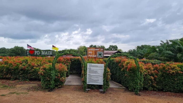 Negeri Sembilan: PD Maze Admission Ticket - The Experience: What’s in Store?