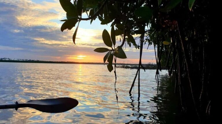 Negombo: Kayaking in the Lagoon - The Itinerary and Experience Breakdown