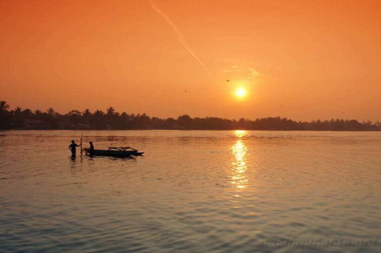 Negombo Lagoon (Mangrove ) Boat Excursion - What the Reviews Say