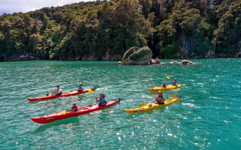 Nelson: Abel Tasman Kayaking & Great Taste Trail Bike Tour - Practical Details and What to Expect