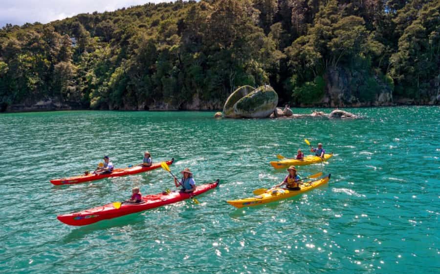 Nelson: Abel Tasman Kayaking & Great Taste Trail Bike Tour - Practical Details and What to Expect