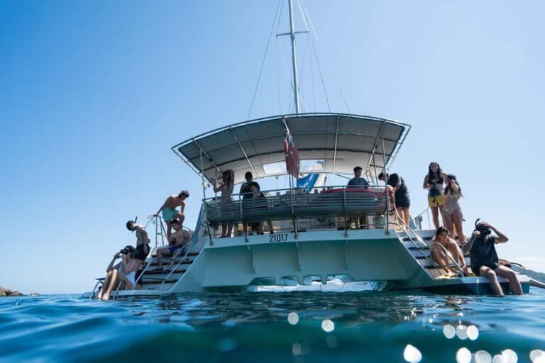 Nelson Bay: Marine Discovery Cruise with Snorkeling - The Itinerary in Detail