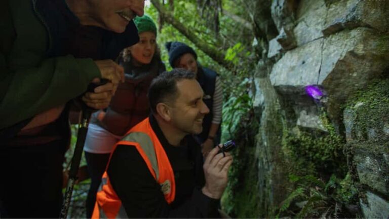 Nelson: Brook Waimrama Sanctuary Guided Night Walk - What Makes This Night Walk Stand Out?
