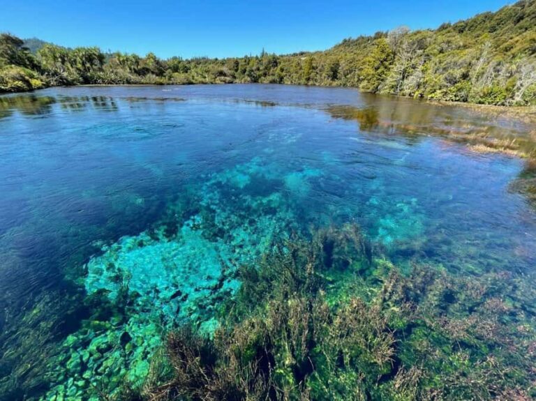 Nelson: Golden Bay in a Day Tour - The Experience: What You Can Expect
