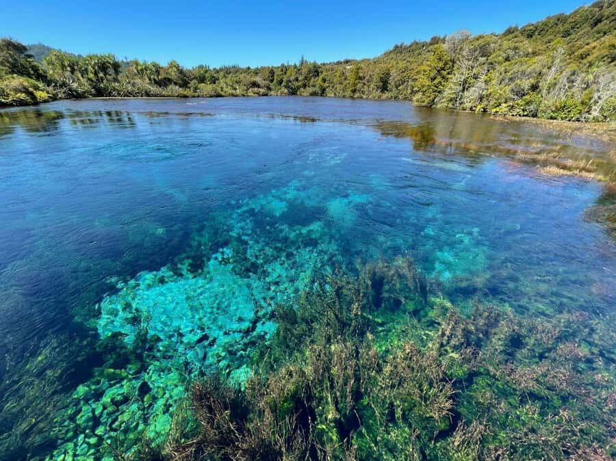 Nelson: Golden Bay in a Day Tour - The Experience: What You Can Expect