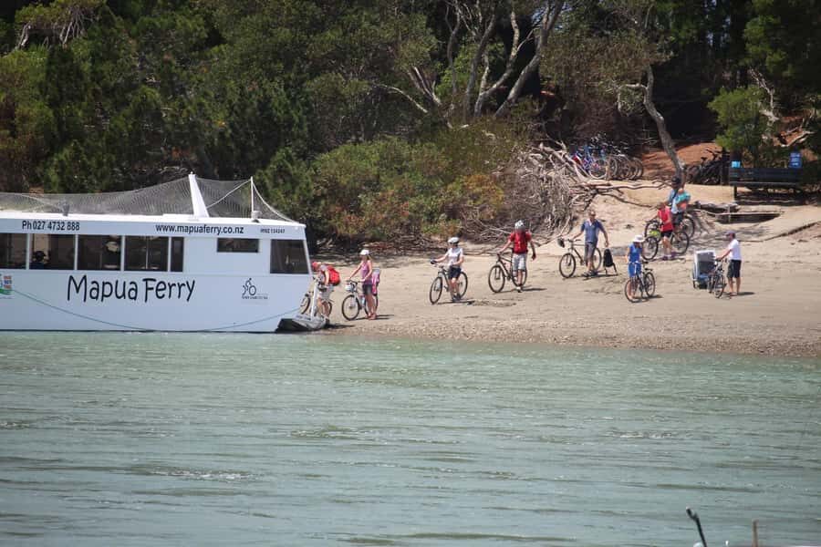 Nelson to Mapua: Full-Day Cycling Self-Guided Adventure - What You Can Expect