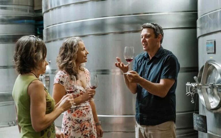 Nelson: Wine Tour with Tastings and Lunch - An In-Depth Look at the Nelson Wine Tour