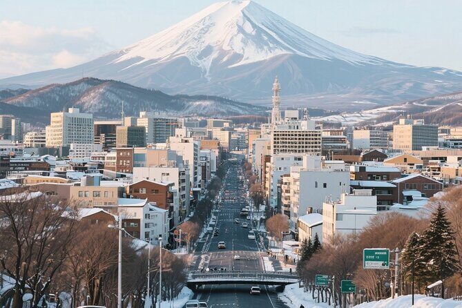 New Chitose Airport(CTS): Private Transfer to/from Niseko/Sapporo - The Vehicle and Comfort