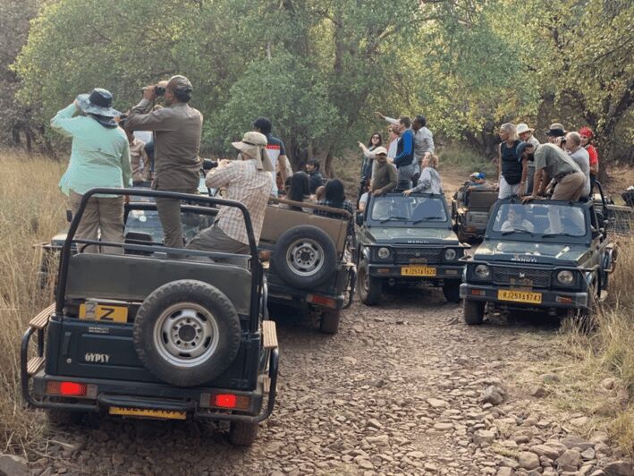 New Delhi: Jim Corbett National Park Safari (Tiger) Spotting - Key Points