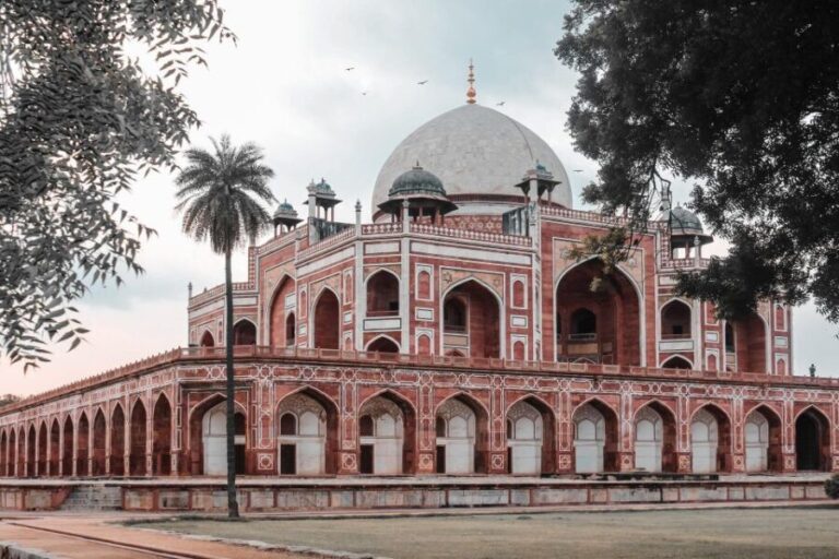 New Delhi Night Life Tour with Street Food - Practical Aspects & Value