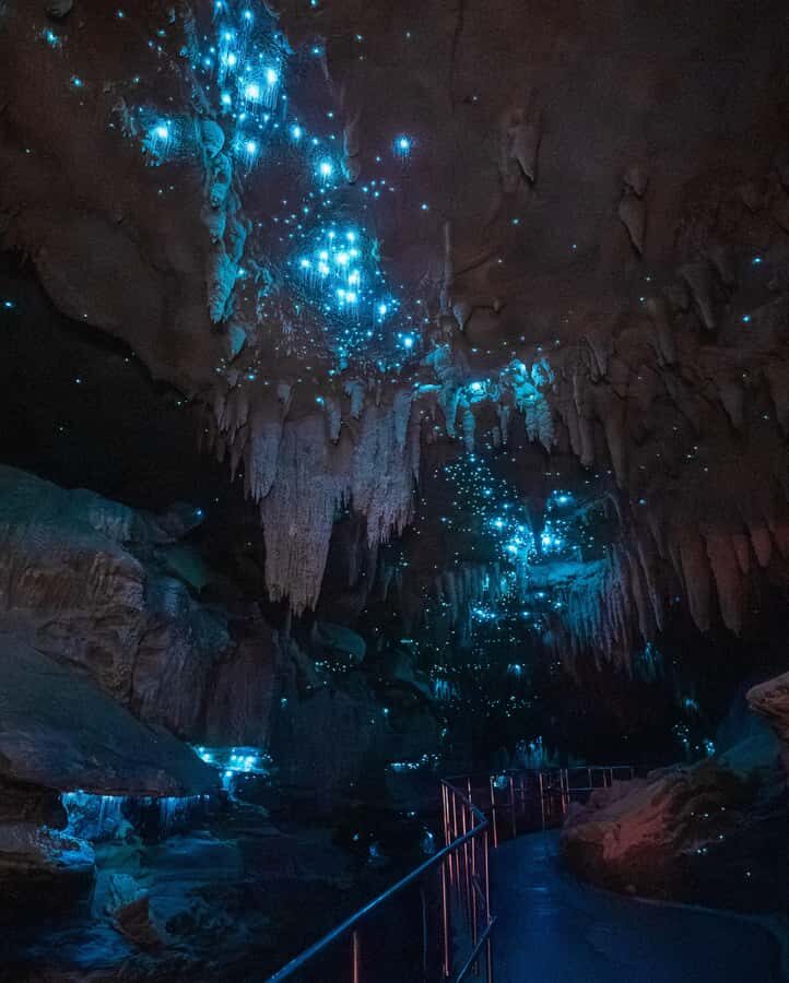 New Zealand: Milky Way Glowworm Cave Tour - Why This Tour Stands Out