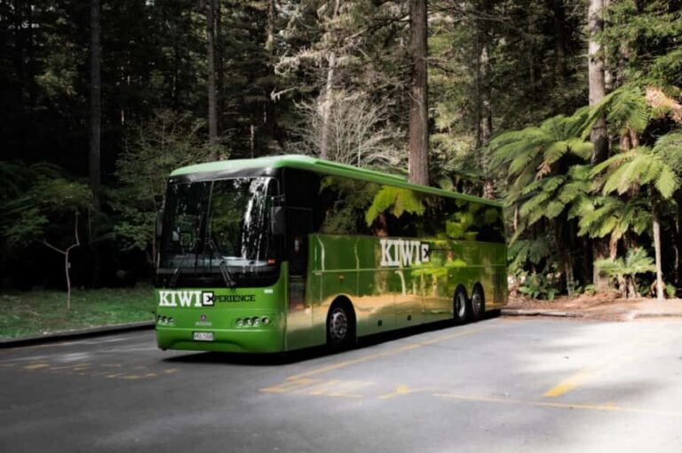 New Zealand: North Island Hop-On Hop-Off Pass - Transport & Comfort