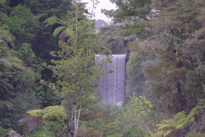 New Zealand Tauranga Tour with Transportation and Snacks - Practical Tips for Your Trip