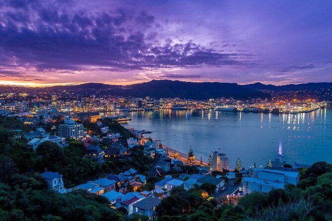 New Zealand Wellington Airport (WLG) to Wellington City Centre - What to Expect on the Journey