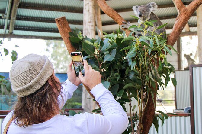 Newcastle: Animal Lovers Tour - Kangaroos, Dolphins & more! - What Past Travelers Say: Authentic Feedback
