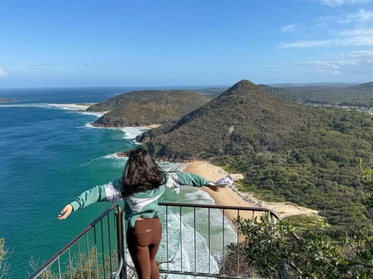 Newcastle: Port Stephens day tour. Dolphins, hike, swim. - Exploring the Day in Detail