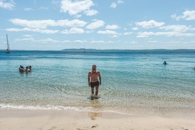 Newcastle: Port Stephens day tour - Dolphins, hike & swim! - The Authentic Touch