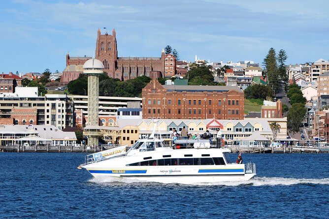 Newcastle Whale Watching Cruise - Pricing and Value
