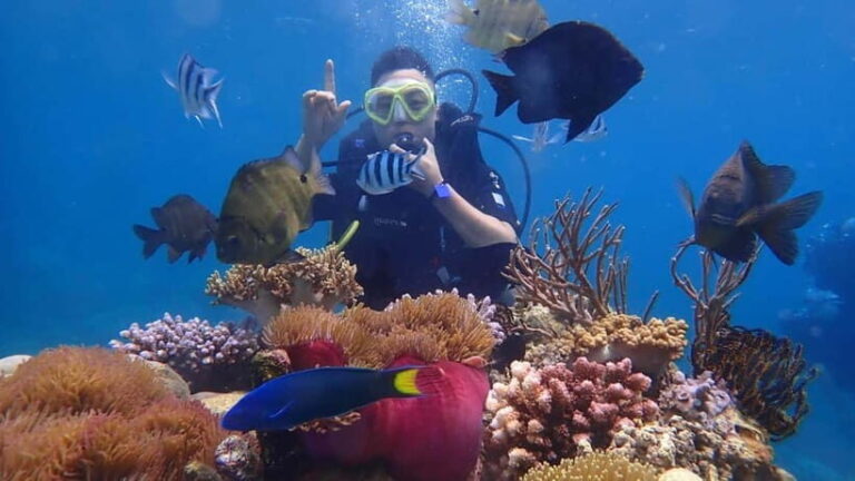 Nha Trang: Discover Scuba Diving for Non-Certified Divers - The Itinerary: Step-by-Step