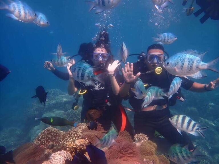 Nha Trang : Scuba diving experience for certified dive - An Honest Look at the Nha Trang Diving Tour