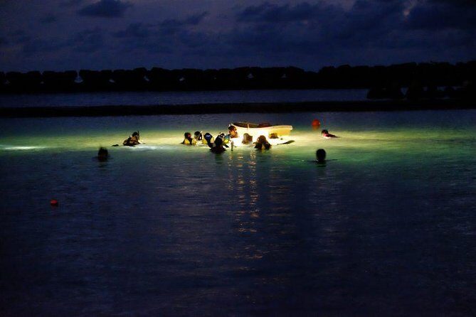 Night Snorkeling Experience in Mirissa - Introduction: An Undersea Nighttime Quest in Mirissa