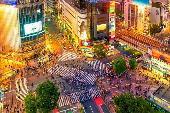 Night Tour Tokyo in Shinjuku - Who Will Love This Tour?
