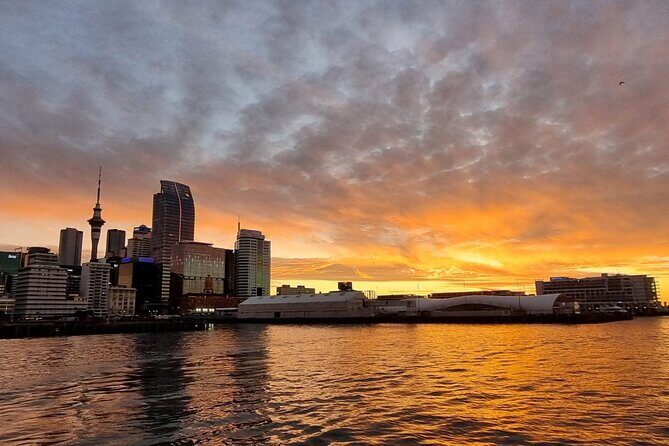 Nightlights Harbour 2 Hour Cruise Experience - Analyzing the Experience: What You Can Expect